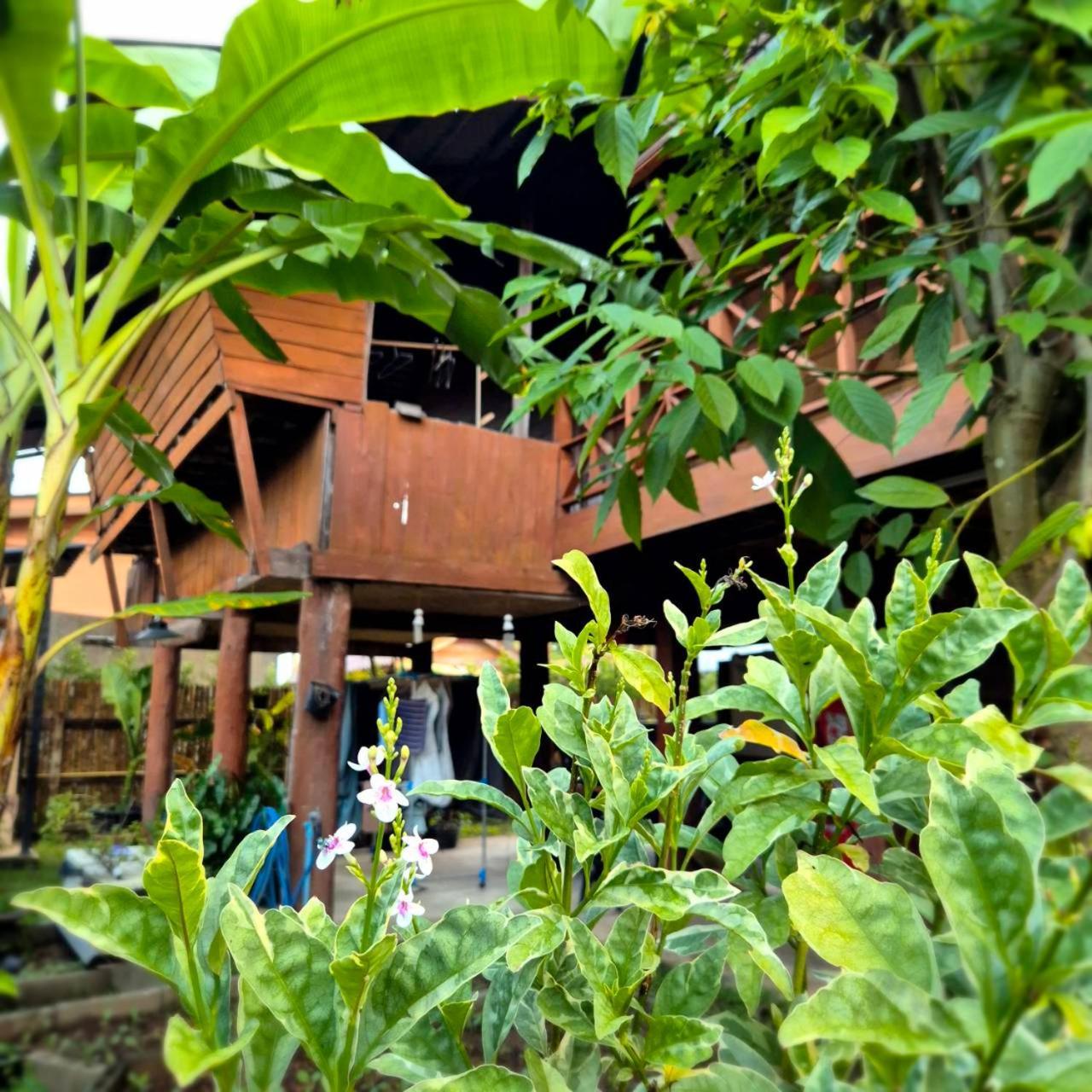 Kedthawa Homestay เฮือนเก็ดถะหวา Ban Cho Lae Luaran gambar