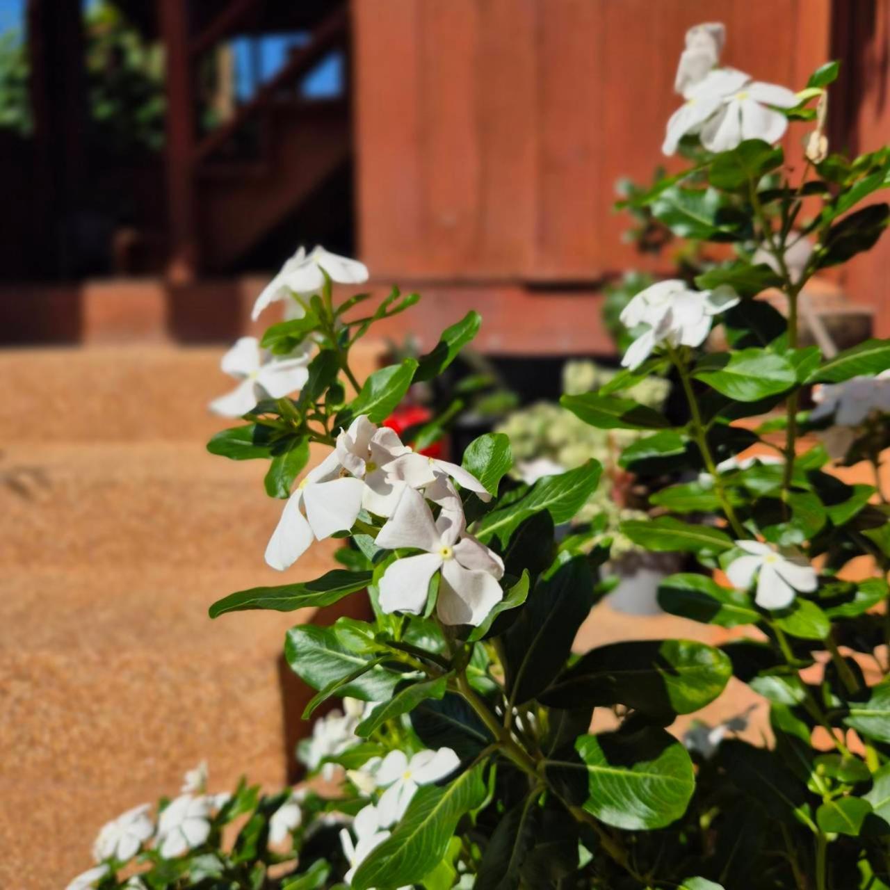 Kedthawa Homestay เฮือนเก็ดถะหวา Ban Cho Lae Luaran gambar